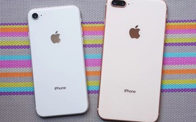 Không phải iPhone 9 giá rẻ, "iPhone 9 Plus" mới là chiếc "iPhone quốc dân" mà người Việt chúng ta tìm kiếm