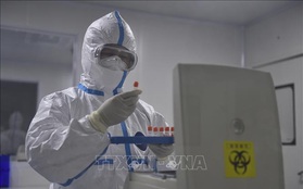 Giới khoa học Trung Quốc xác định virus Corona có hai loại