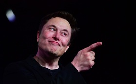 Elon Musk nói không quan tâm bằng cấp, nhưng Tesla khi tuyển dụng vẫn yêu cầu ứng viên phải có bằng
