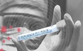 Dịch COVID-19: Ghi nhận ca nhiễm đầu tiên ở Uzbekistan, Congo và Seychelles