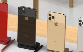 iPhone cũ đồng loạt xuống giá thấp, khách hàng vẫn làm ngơ