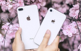 Trong tầm giá 12 - 17 triệu, đây là những mẫu smartphone đáng mua hơn iPhone SE 2020 mới