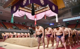Võ sĩ sumo đầu tiên qua đời vì COVID-19