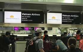 Đưa trên 340 công dân Việt Nam từ Hoa Kỳ về nước