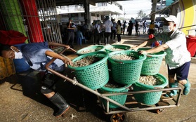 Thái Lan xác nhận ổ dịch mới tại một thị trấn đánh cá ở tỉnh Samut Sakhon