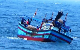 Nhiều tàu cá Bình Định gặp nạn, 2 ngư dân mất tích