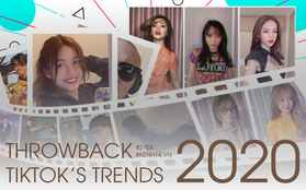 Throwback: Nhìn lại những trào lưu nổi đình nổi đám trên TikTok trong năm 2020