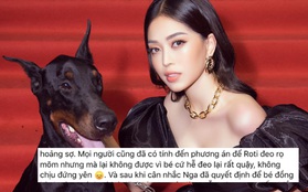 Gây tranh cãi vì mang chó không đeo rọ mõm lên thảm đỏ, Phương Nga chính thức lên tiếng giải thích