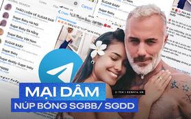 Telegram như một ổ tệ nạn: tràn lan hội nhóm tìm Sugar Baby, Sugar Daddy đến các động "chào giá, share số" trá hình!