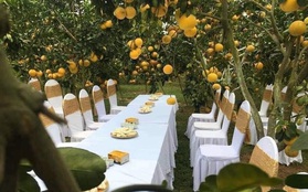 Bàn tiệc cưới bày giữa vườn trái cây ở miền Tây gây xôn xao khắp mạng xã hội, nhiều người gợi ý nên mang theo thứ đặc biệt này khi đến dự