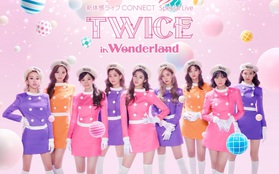 TWICE vừa tung poster đủ 9 người cho concert tại Nhật đã bị so sánh với SNSD vì concept hường phấn, đồng phục na ná