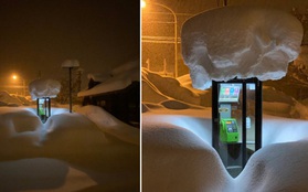 Bức ảnh bốt điện thoại công cộng giữa trời tuyết trắng gây xôn xao cộng đồng mạng Nhật Bản