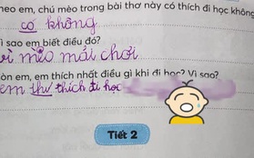 Hỏi thích gì nhất khi đến trường, câu trả lời của cậu bé lớp 1 khiến mẹ tức anh ách, dân mạng thì phì cười vì "chất" quá