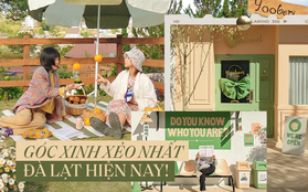 Gặp founder và designer của góc check-in hot nhất MXH hiện nay: “Mình không muốn nơi này bị coi là Hàn Quốc giữa lòng Đà Lạt”