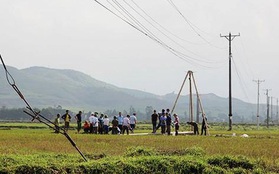 Hai người đàn ông gặt lúa bị điện 35kV giật chết trên cánh đồng