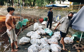 Cận cảnh 2 tấn cá chết bốc mùi trong công viên Hoàng Văn Thụ ở TP.HCM