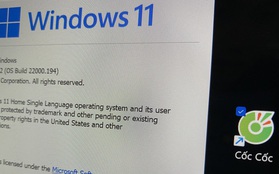Ứng dụng Việt nổi tiếng được Microsoft xác nhận gặp vấn đề với Windows 11