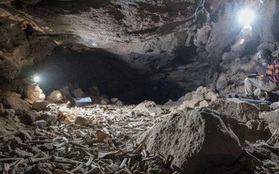 Phát hiện sọ người trong hang động núi lửa, hé lộ tính phàm ăn của loài linh cẩu