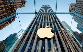 Thị trường Apple Việt Nam đạt 1,5 tỷ USD và dự tăng thêm 40% sang năm 2022: Hàng xách tay dần hết chỗ, cơ hội mở rộng với FPT Shop, TopZone