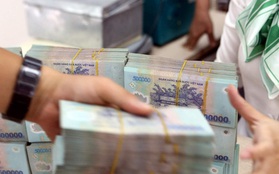 Một cá nhân tại Hà Nội nộp 11 tỷ đồng tiền thuế từ kinh doanh thương mại điện tử