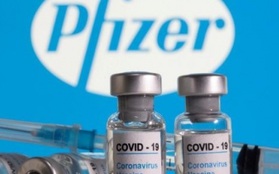 Lãnh đạo Pfizer dự báo sẽ cần tới mũi tiêm vaccine thứ tư để phòng ngừa Omicron
