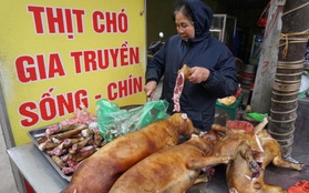 Lãnh đạo Hội An: "Thông tin cấm bán thịt chó, mèo là không đúng, không ai mà cấm được"