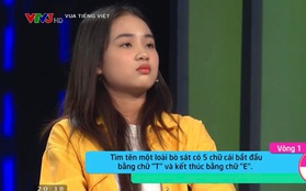 Chữ Tiếng Việt: Con gì thuộc loài bò sát, tên bắt đầu bằng “T” kết thúc bằng “E”: Người chơi bó tay