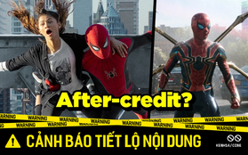 Ý nghĩa khổng lồ của 2 cảnh credit ở Spider-Man: No Way Home: Vũ trụ Marvel sẽ thay đổi mãi mãi, sốc thế nào mà fan vỗ tay rầm rầm?