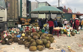 Trăm nghìn tấn trái cây ùn ứ cửa khẩu, mít Thái quay đầu la liệt chờ "giải cứu"