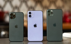 Mẫu iPhone nào được mua nhiều tại Việt Nam?