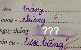 Bài tập Tiếng Việt tìm từ trái nghĩa với "ngay thẳng", học trò viết ra một từ mà ai nấy đều ngã ngửa