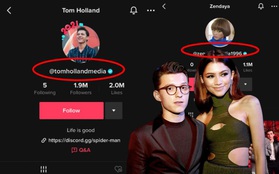 Tài khoản TikTok có tick xanh của Tom Holland và Zendaya bị chính chủ "bóc" là hàng fake, chuyện gì đây?