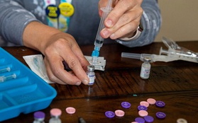 Pfizer: Mũi vaccine tăng cường có thể ngừa biến thể Omicron tới 25 lần
