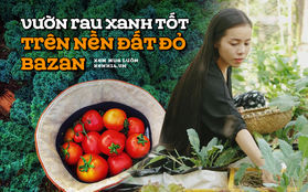 Sau 1 năm xuyên Việt trên "nhà di động", vợ chồng trẻ Đắk Lắk về quê trồng rau trên nền đất đỏ bazan, chỉ cần ra vườn là có ngay một rổ đầy ắp!