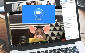 Zoom bây giờ đã có filter "xịn sò" không kém gì Instagram, chuẩn bị làm việc online mà không phải lo nhàm chán rồi!