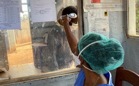 Guinea ghi nhận ca tử vong vì virus Ebola đầu tiên kể từ năm 2016