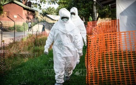 WHO cảnh báo 6 nước châu Phi về dịch Ebola