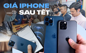 Cập nhật giá iPhone sau Tết, nhu cầu mua bất ngờ tăng mạnh