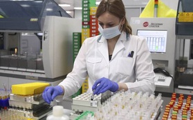 Nga phát hiện trường hợp đầu tiên trên thế giới nhiễm cúm A (H5N8)