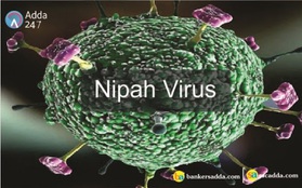 WHO cảnh báo virus Nipah có thể đột biến và gây ra đại dịch tiếp theo