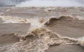 "Điềm không lành" trên sông Dương Tử: Đập Tam Hiệp cũng là một phần nguyên nhân