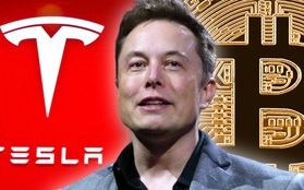 Elon Musk không nói chơi, Tesla đã mua 1,5 tỷ USD bitcoin, dự định dùng làm phương tiện thanh toán