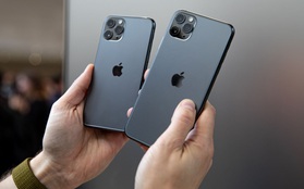 iPhone 11 giảm giá mạnh sau Tết, thời điểm vàng để iFan xuống tiền đã tới