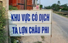 Heo chết do dịch, xã lệnh "nội bất xuất, ngoại bất nhập"