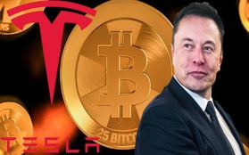 Tesla bốc hơi 300 tỷ USD giá trị thị trường do đầu cơ Bitcoin?