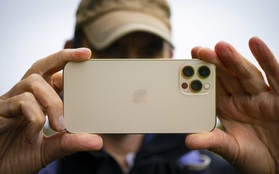 Chọn chiếc iPhone này nếu bạn đang tìm kiếm một mẫu máy nhỏ gọn, nhưng vẫn sở hữu chất lượng ảnh đỉnh cao!