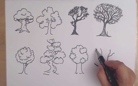 Đặt bút vẽ một chiếc cây, mỗi người cho ra một tác phẩm riêng: Bạn có biết tác phẩm của người hướng nội khác người hướng ngoại ở điểm nào không?