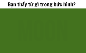 Quiz: Chỉ những người có thể nhìn được màu xanh hoàn hảo tuyệt đối mới vượt qua được bài test thị giác siêu thú vị này