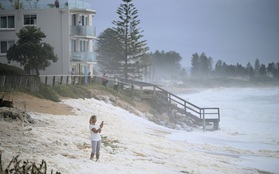 Mưa lớn gây lũ lụt kỷ lục, người dân Australia đi sơ tán hàng loạt