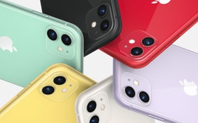 Tin vui cho người dùng iPhone 11 series: Apple sẽ hiệu chỉnh pin để khắc phục vấn đề về hiệu suất và dung lượng